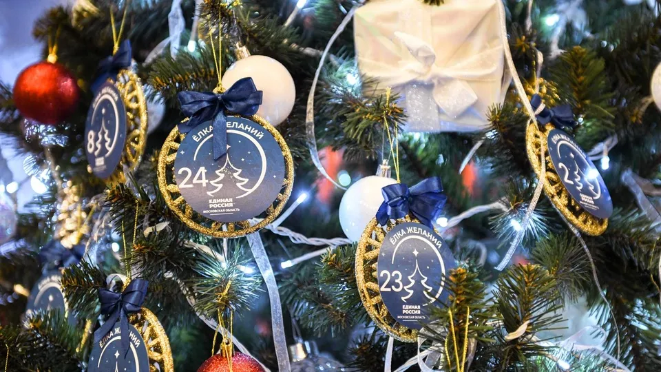 Фото: пресс-служба администрации г.о. Химки