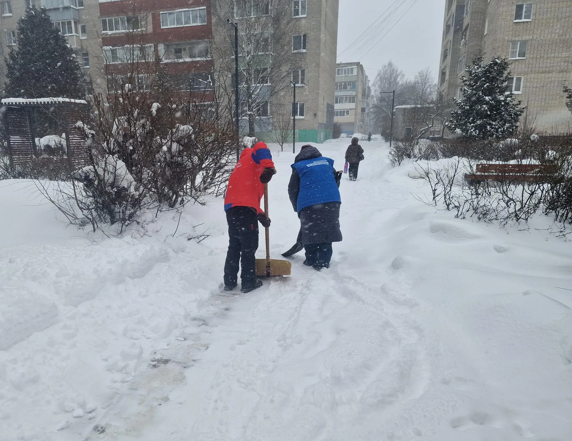 REGIONS/Ольга Шаронова