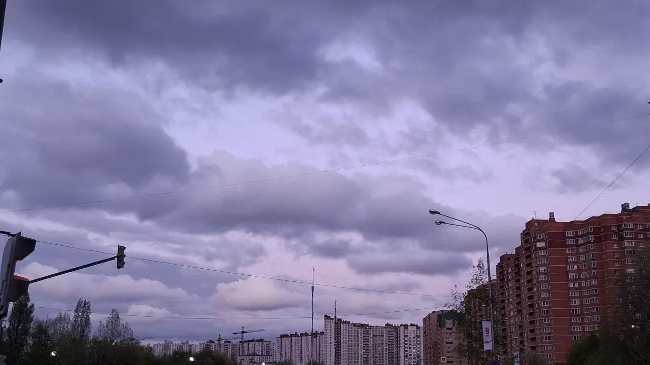 Фото: Александра Загороднова