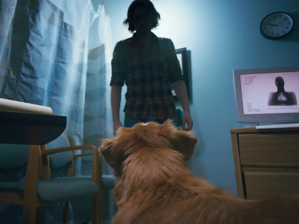 Кадр из фильма «Глазами пса». Режиссер Бен Леонберг. 2025 год