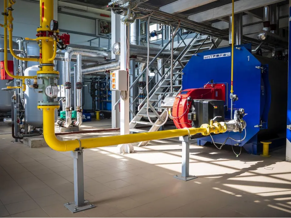 Фото: пресс-служба администрации г.о. Домодедово