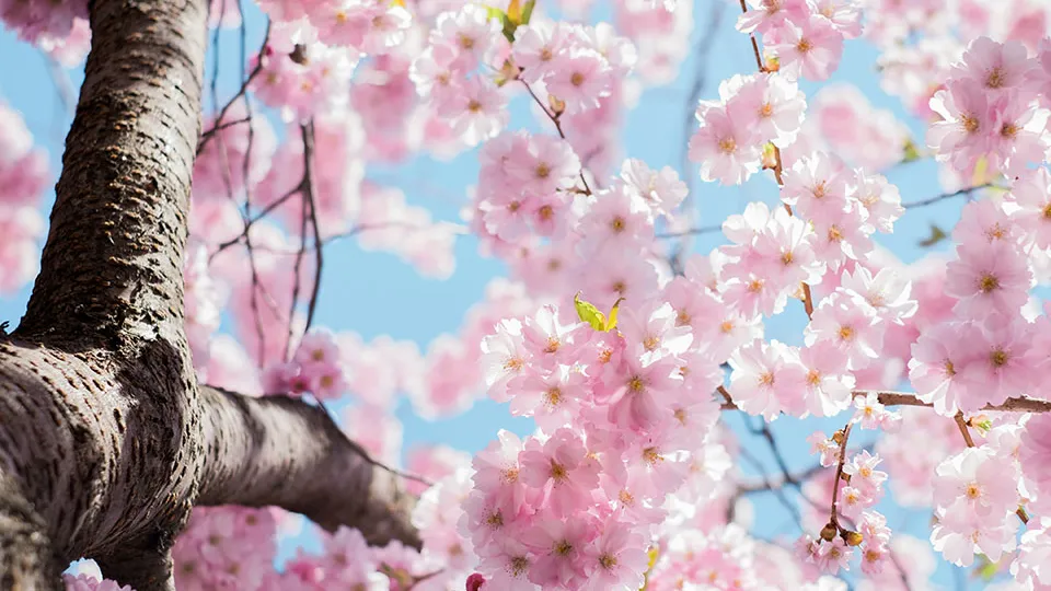 Фото: unsplash.com