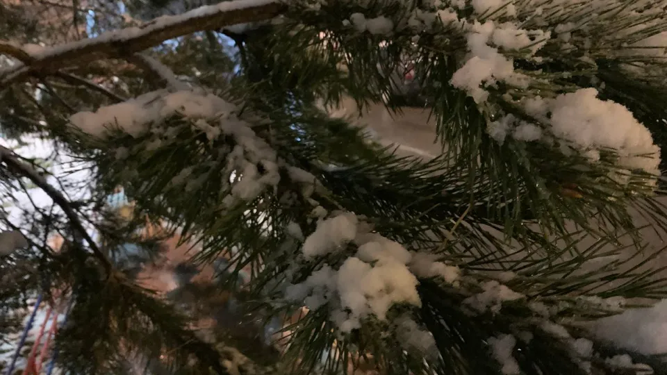 Фото: REGIONS/Анастасия Соловьева