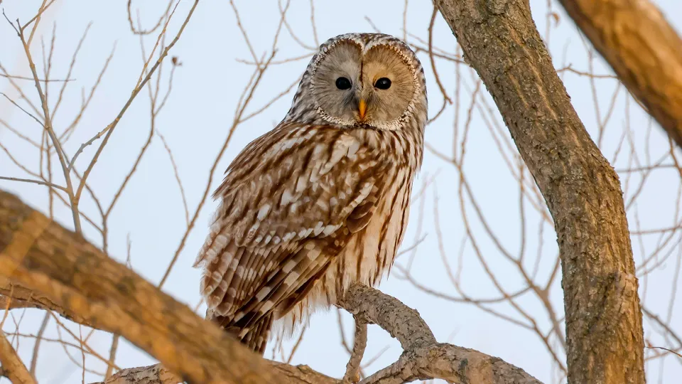 Фото: ТАСС/Юрий Смитюк