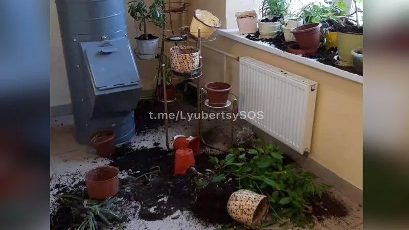 Вандалы разворошили цветочные горшки в подъезде многоквартирного дома в Люберцах