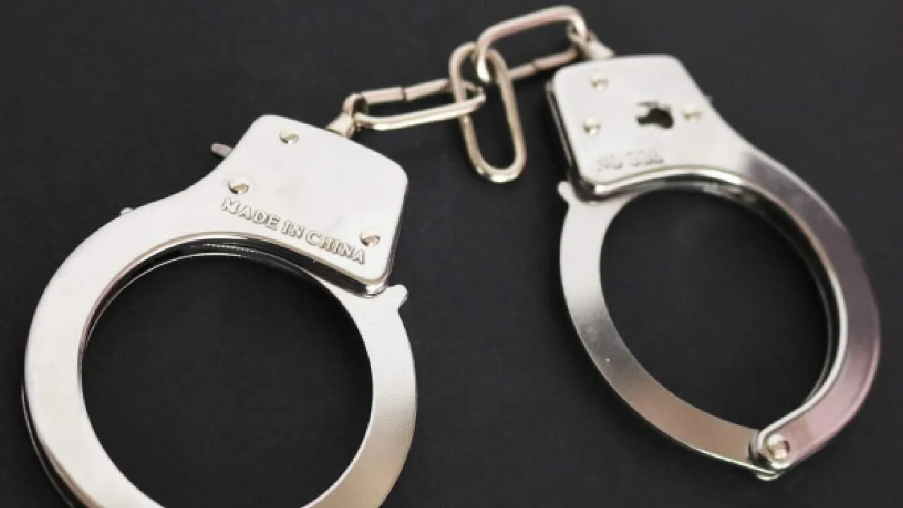 В Карелии раскрыли коррупционную схему: из бюджета РФ украли полмиллиона рублей