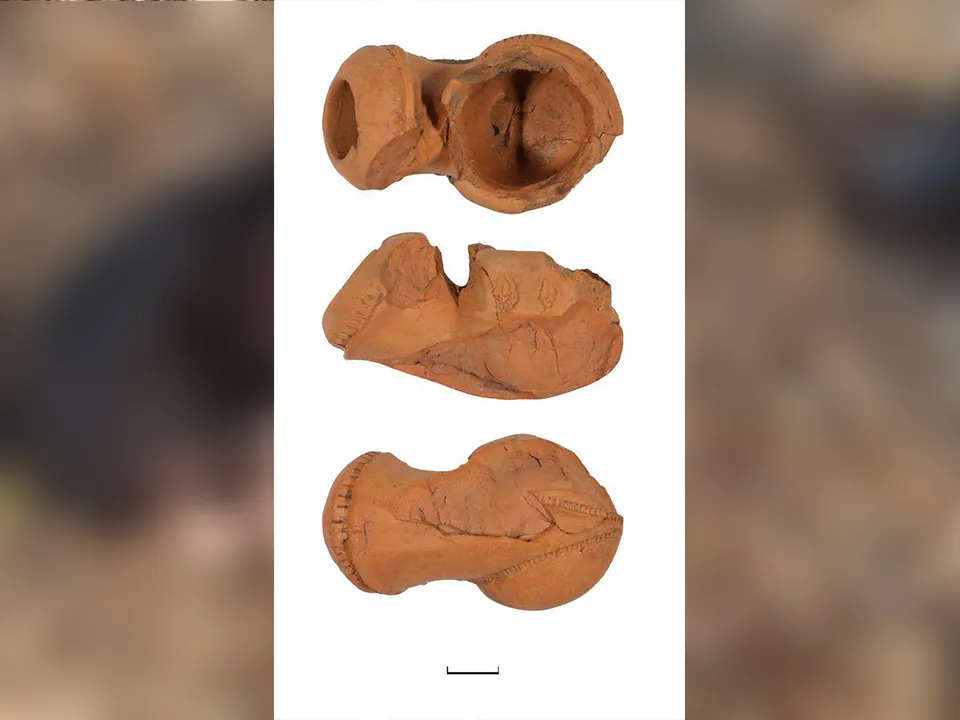 Фото: музей-заповедник «Зарайский кремль»