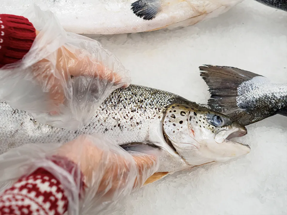 Фото: istockphoto.com/Alexander Pytskiy