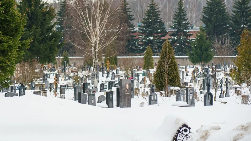 Фото: Медиасток.рф