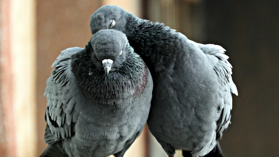 Фото: unisplash.com