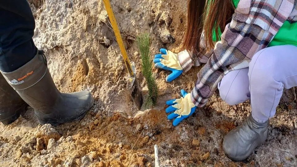 Фото: Комитет лесного хозяйства Московской области