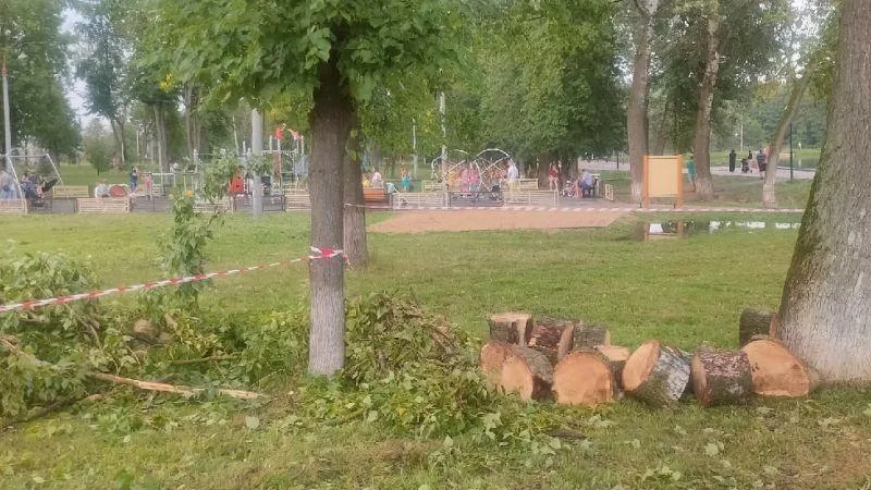Горожане спасли детей, на которых упало дерево в Серпухове