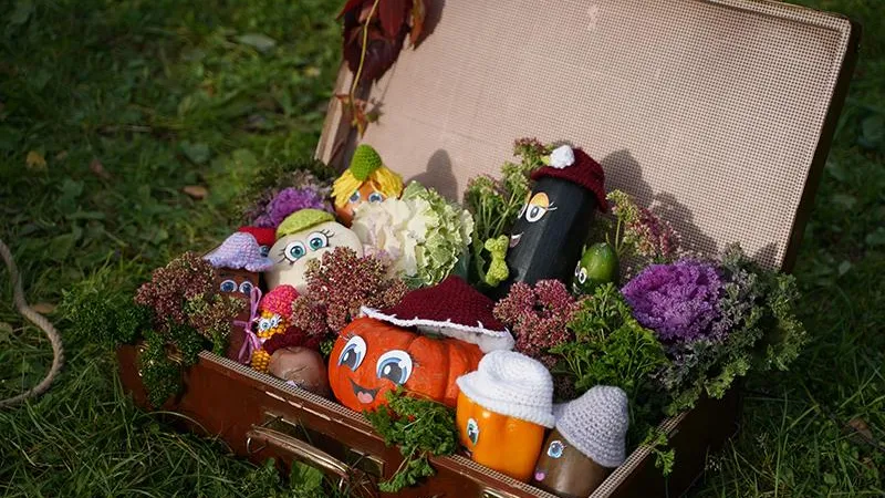 Да будет гастрошоу! В Клину проведут «Золотой кабачок»