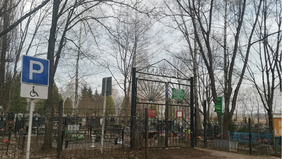 Фото: REGIONS/Дарья Кургузова