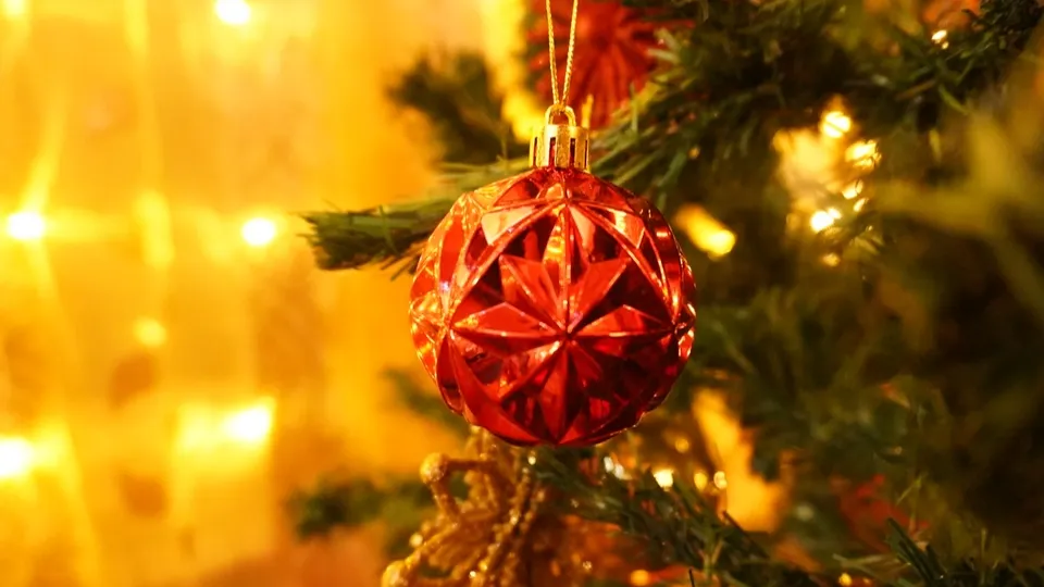 Фото: МедиаБанк Подмосковья/Алена Притула