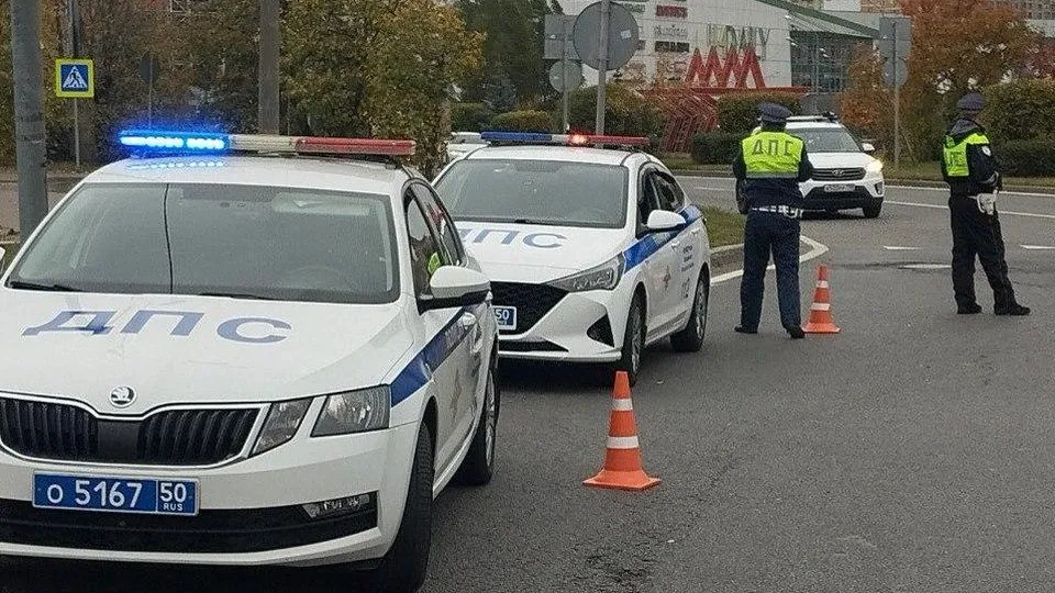 Фото: пресс-служба Администрации городского округа Мытищи