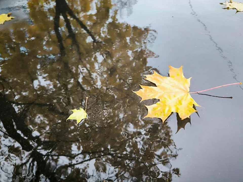 Фото: REGIONS/Роман Малышенко