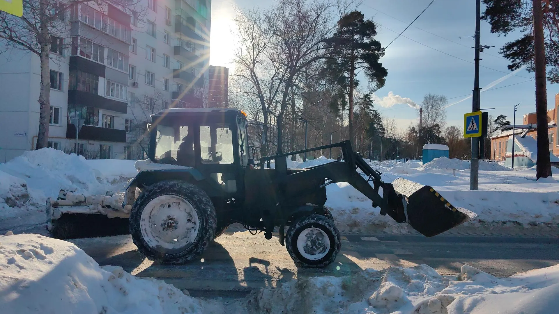 Елена Катасонова