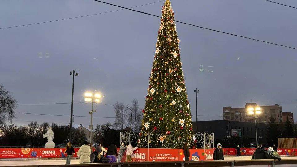 Фото: МедиаБанк Подмосковья/Екатерина Морозова