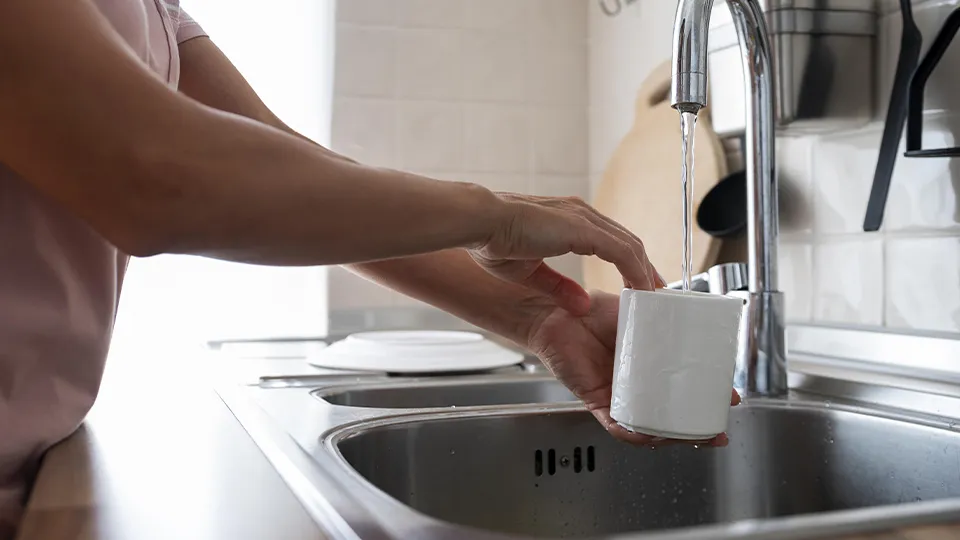 Фото: freepik.com