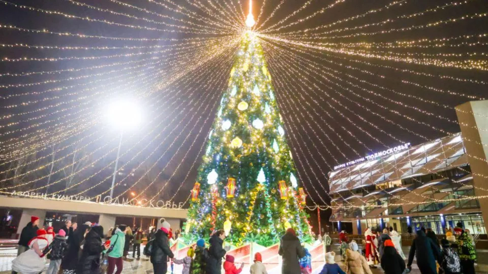 Фото: пресс-служба г. о. Красногорск