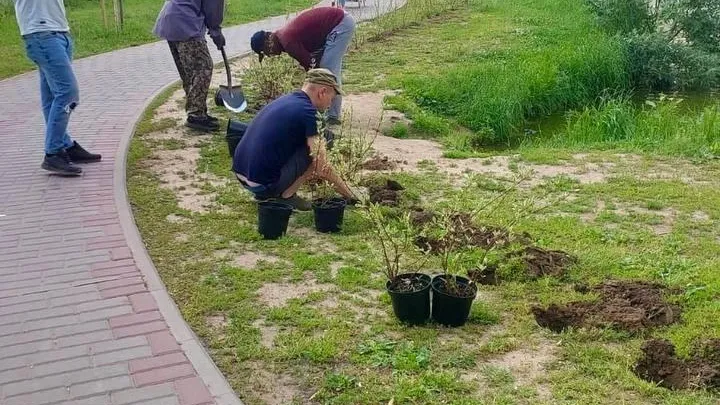 Пресс-служба администрации городского округа Люберцы