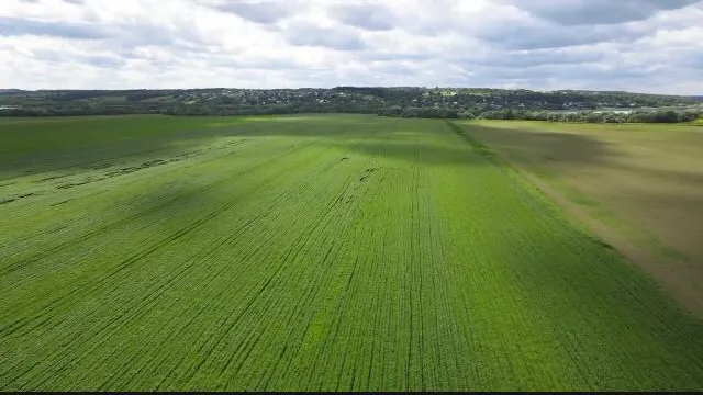 Фото: пресс-служба администрации г.о. Кашира