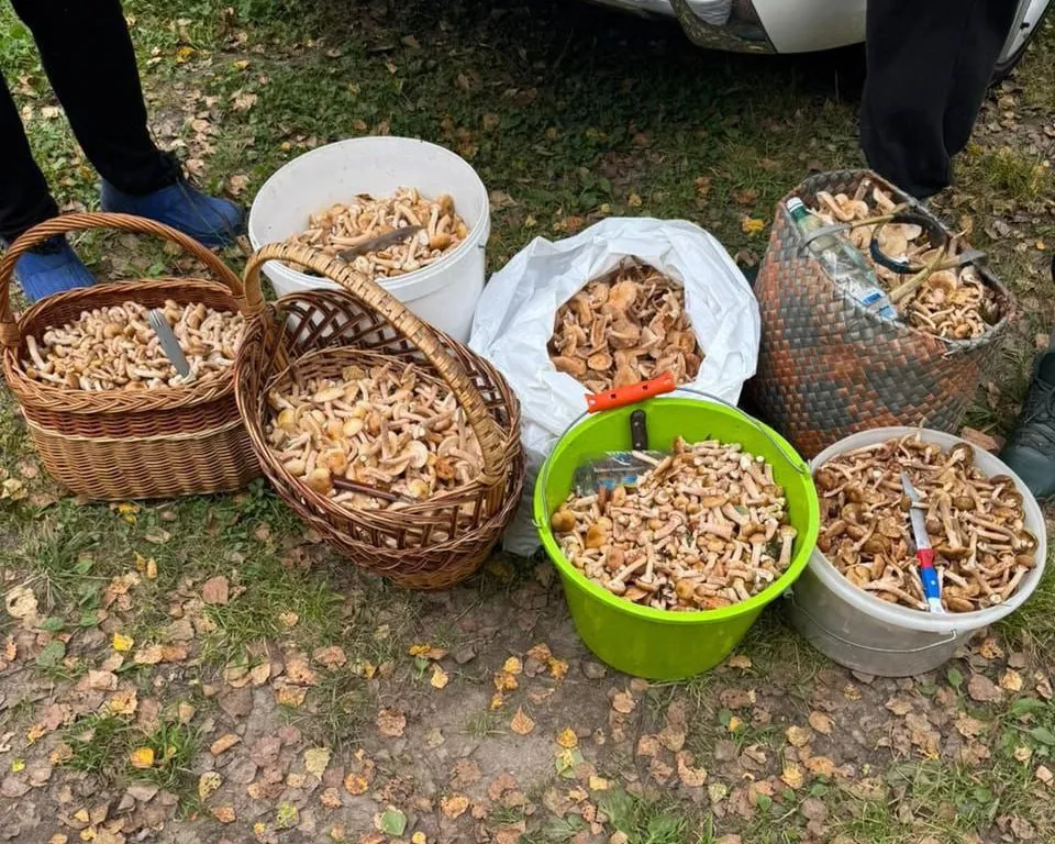 Фото: REGIONS/Татьяна Кордюкова