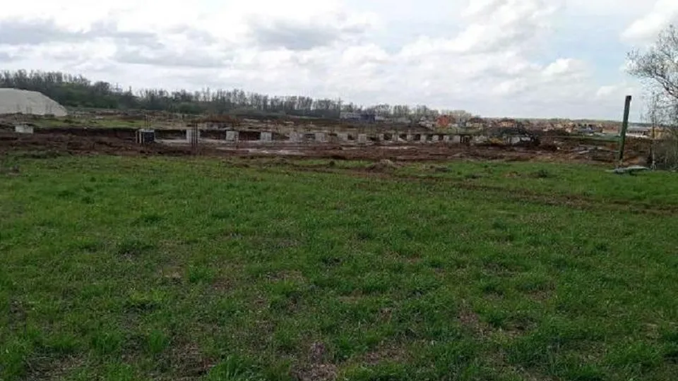 Фото: Министерство экологии и природопользования Московской области