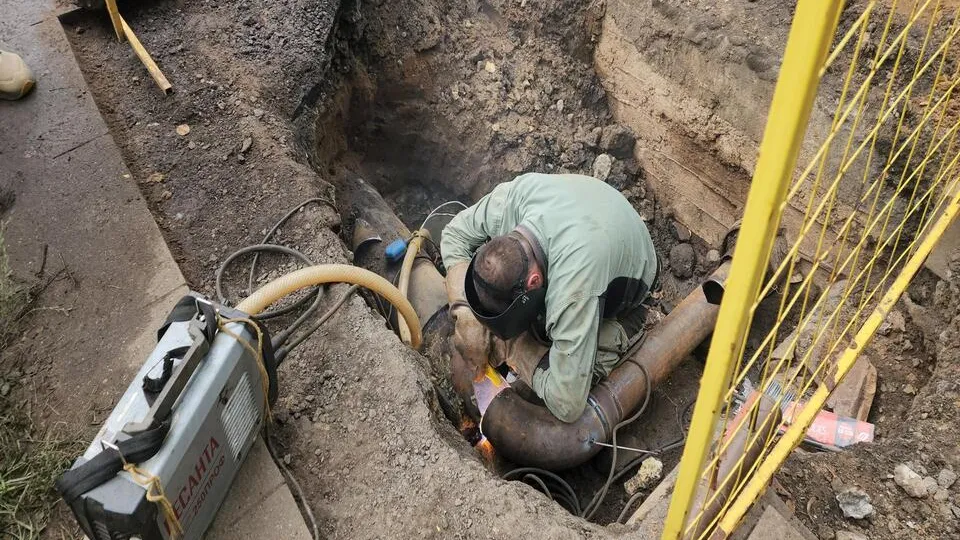 Фото: Ольга Шеметова