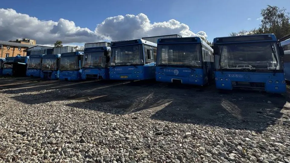 Фото: управление экологии г.о. Мытищи