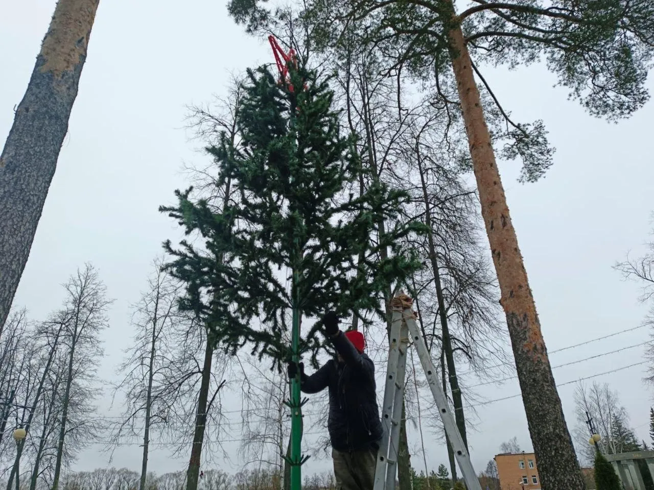 Фото: пресс-служба администрации м.о. Шатура