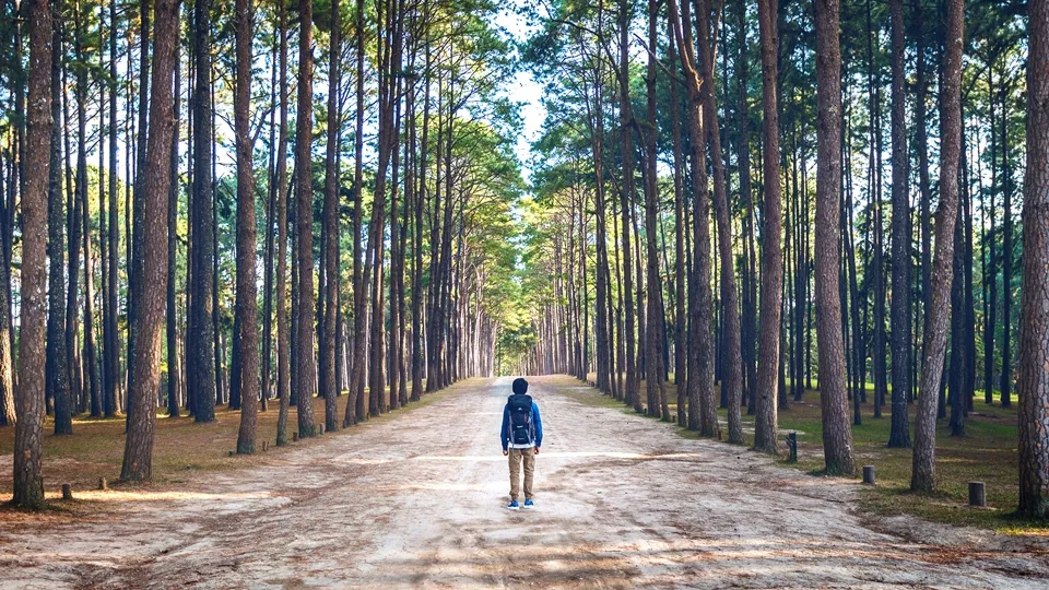 Фото: freepik.com