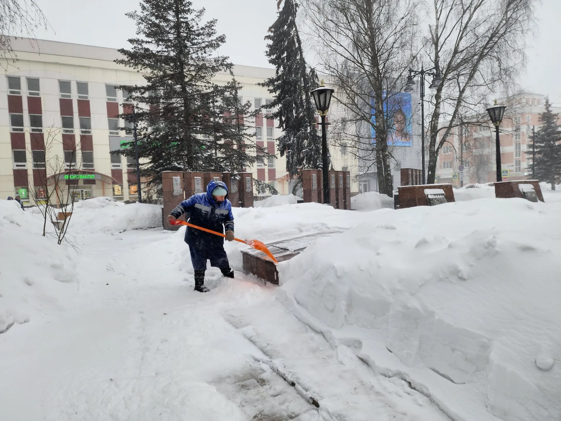 МедиаБанк Подмосковья/Ольга Аввакумова
