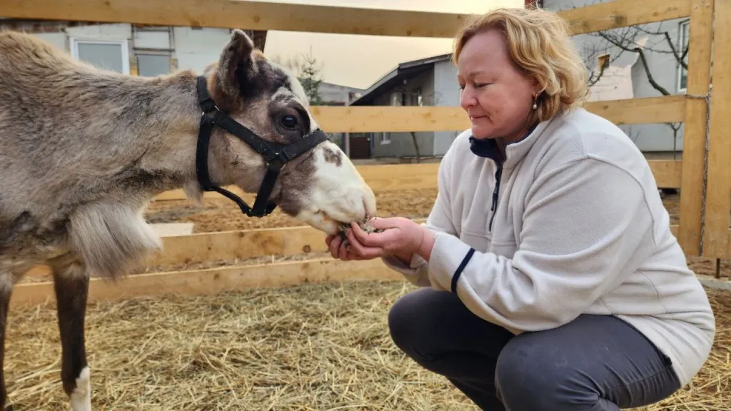 Фото: МедиаБанк Подмосковья/Евгения Герасимова