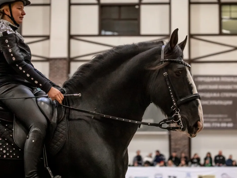 Фото: vk.com/Конная Россия