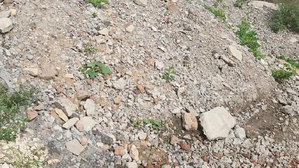 Фото: Министерство экологии и природопользования МО