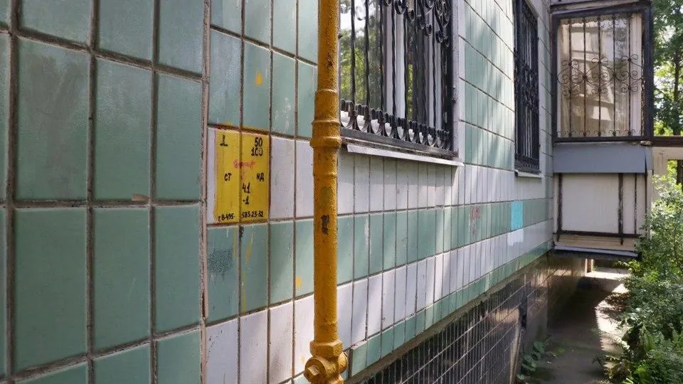 Фото: Пресс-служба администрации городского округа Мытищи