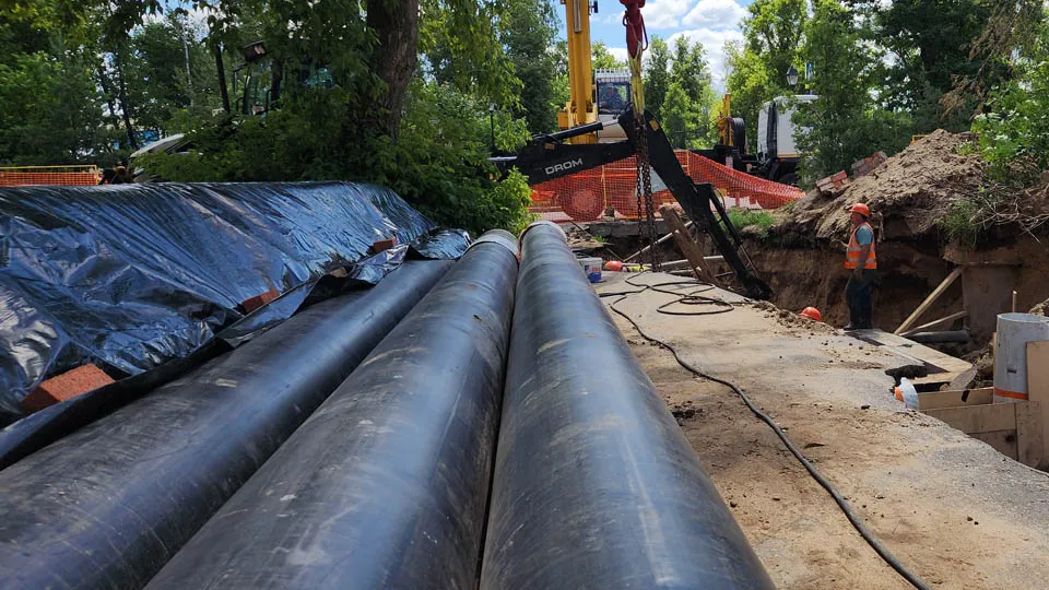 Фото: Валерия Тингаева