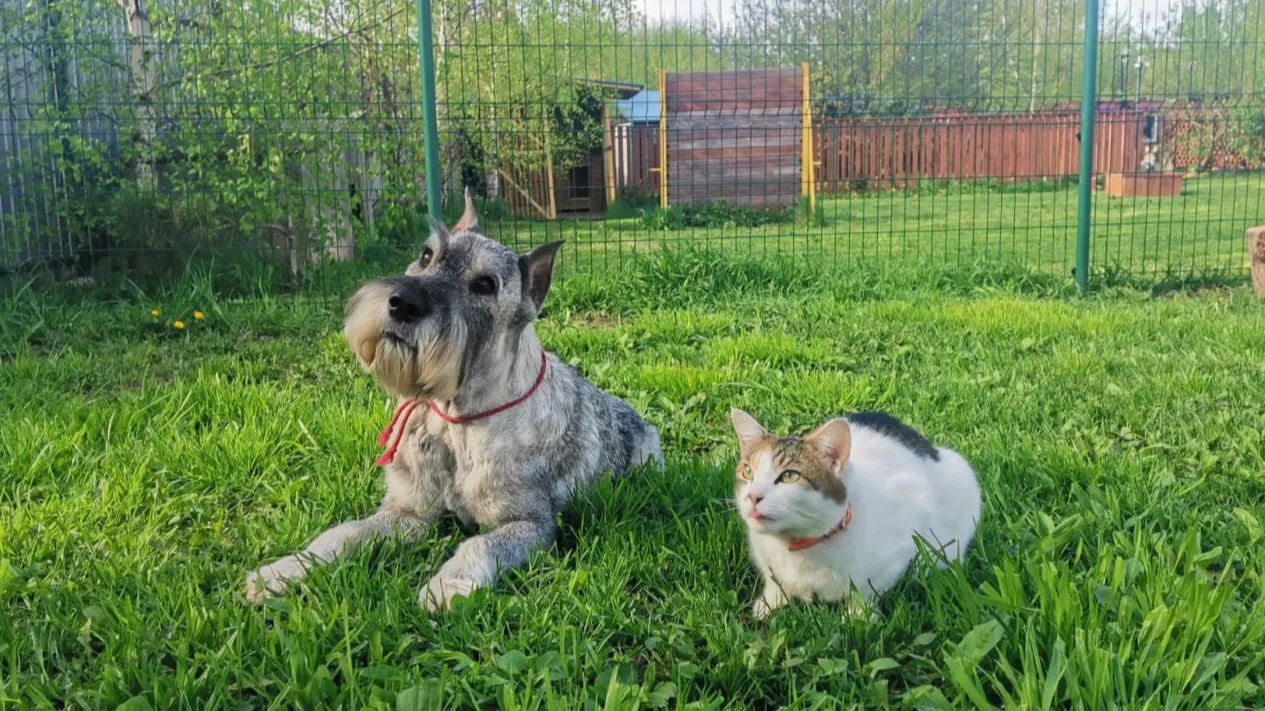 Фото: Ирина Юдаева