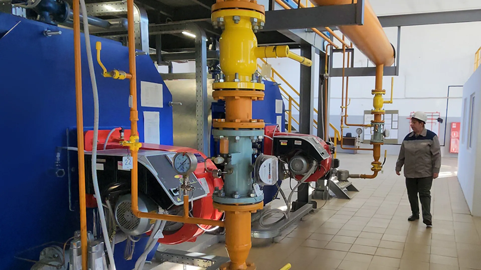 Фото: МедиаБанк Подмосковья/Гореловский Валерий