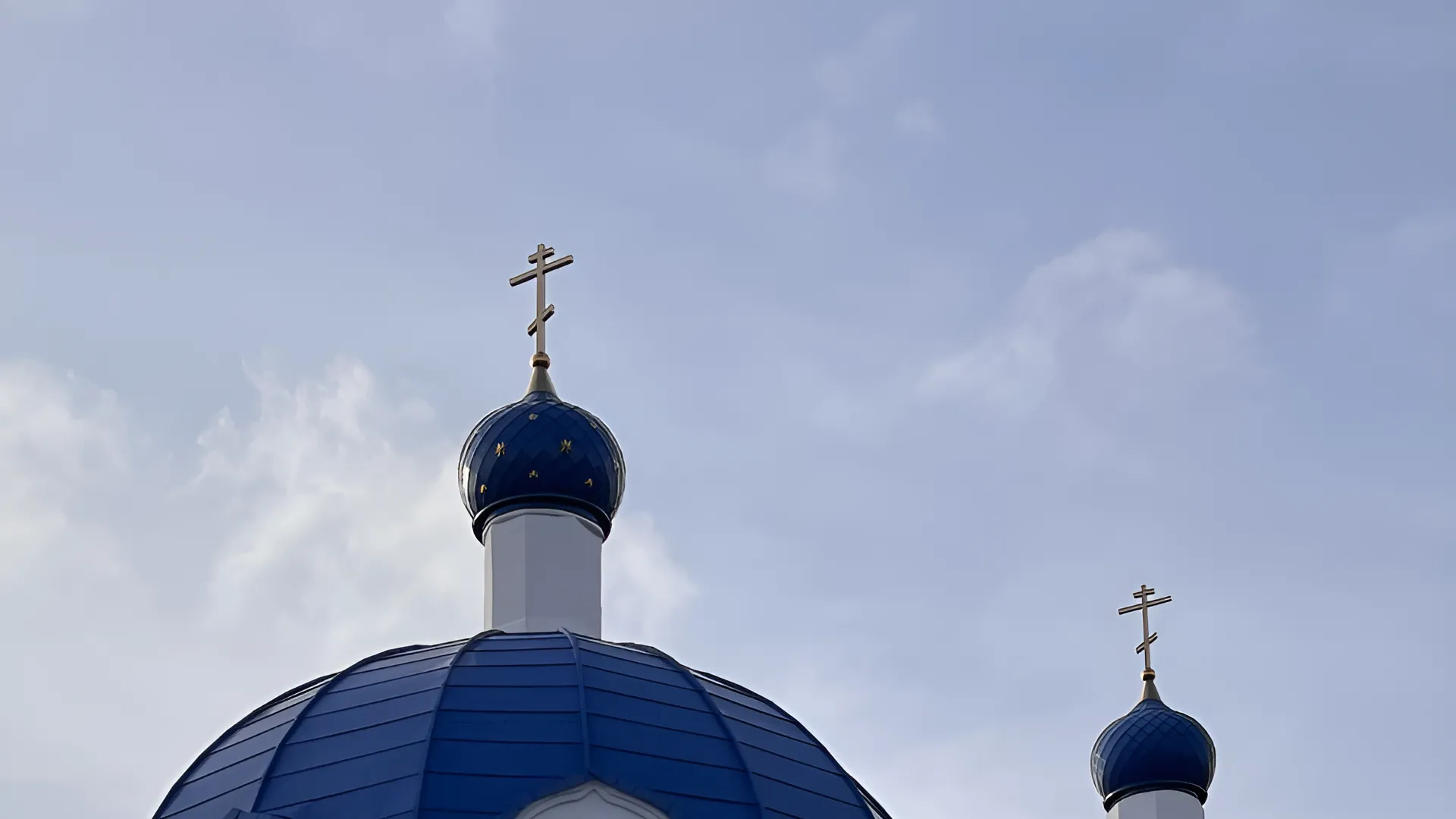 Фото: МедиаБанк Подмосковья/Татьяна Рунова