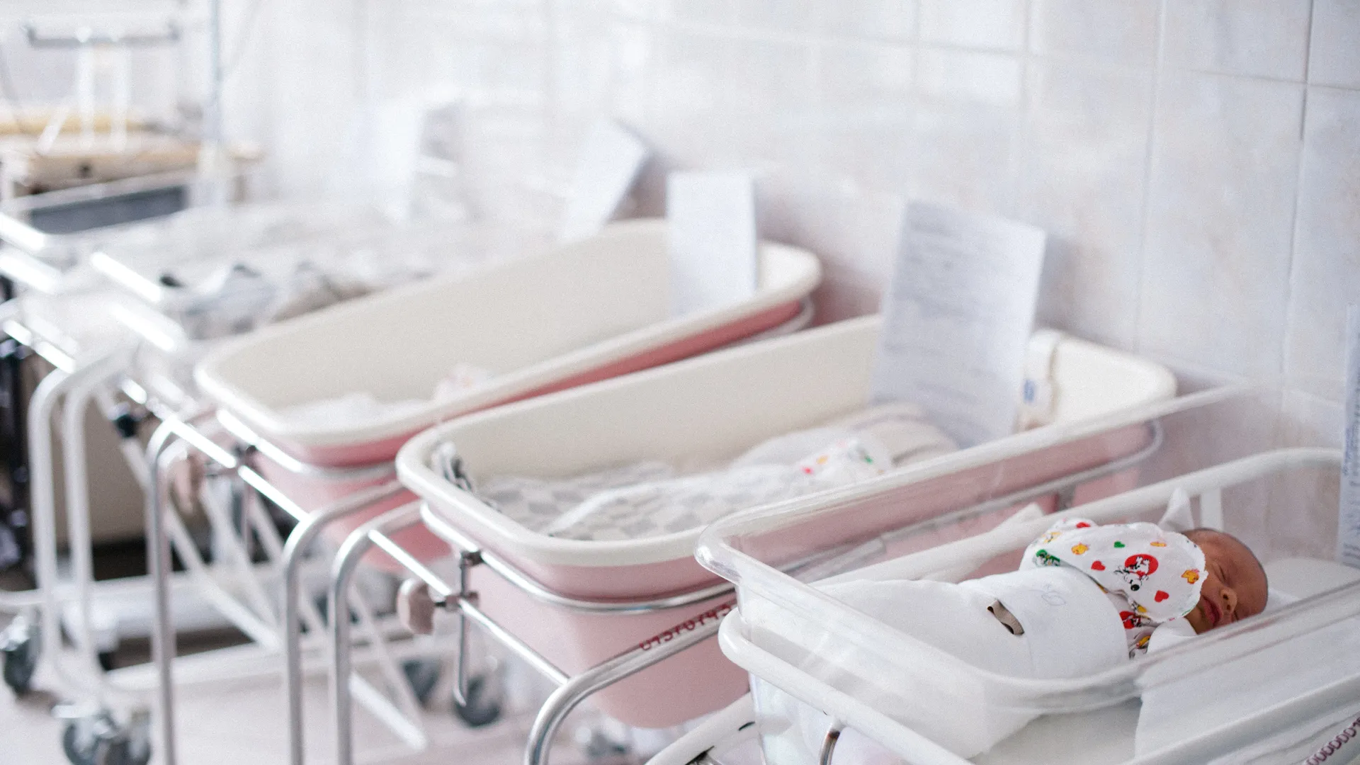 Фото: медиасток.рф