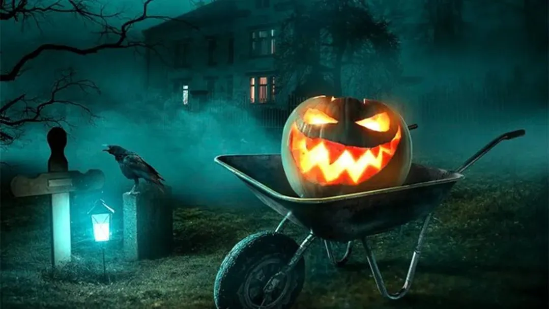 Источник: freepik.com