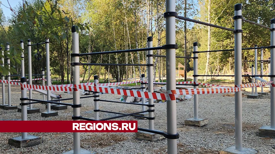 Фото: Хавива Фонина