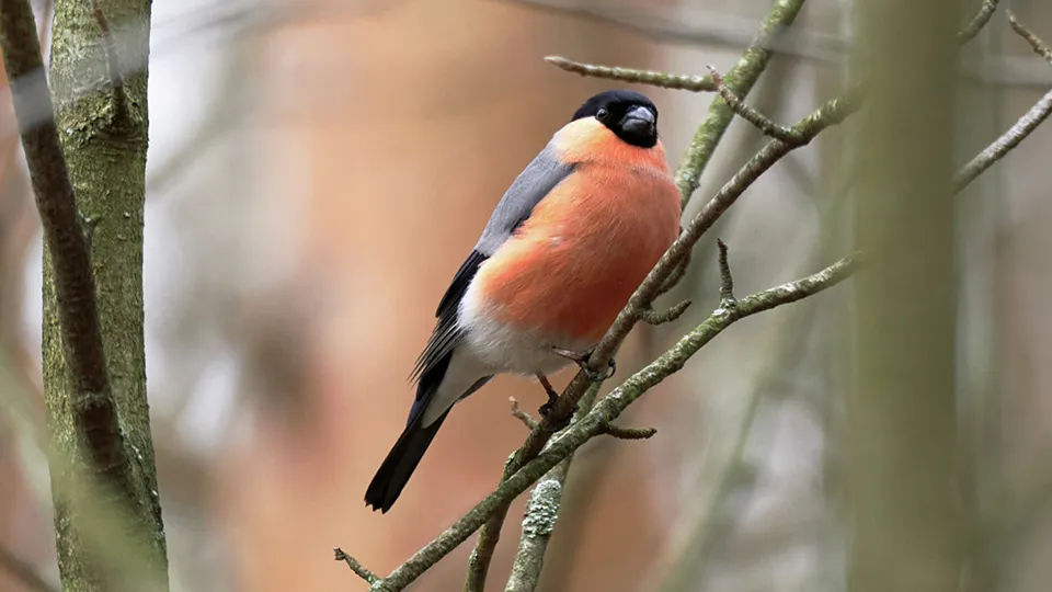Фото: РИА Новости/Алексей Даничев