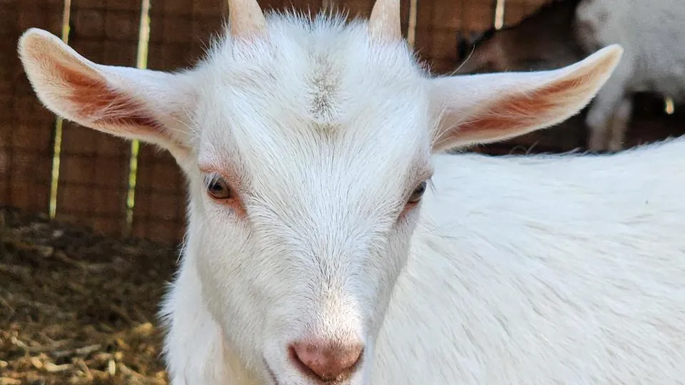 Фото: Валерия Исаева