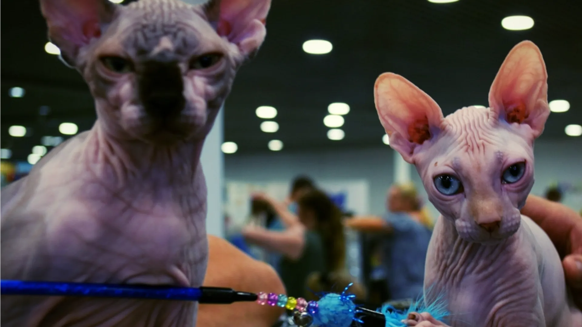 Фото: REGIONS/Александра Никитина