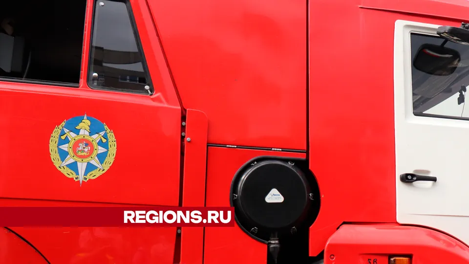 Фото: REGIONS/Василий Тремасов