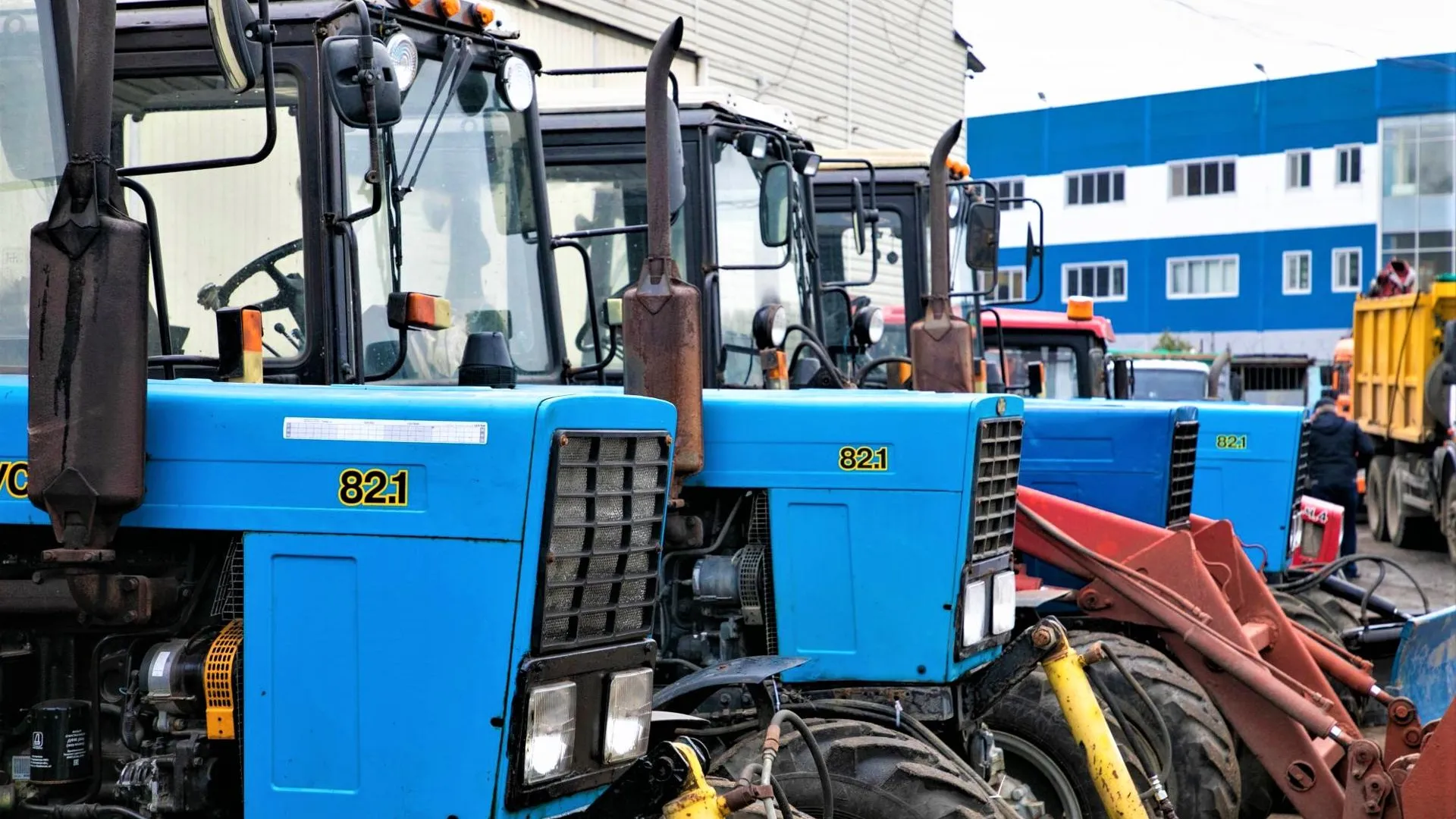 Фото: ИА «Все новости Лыткарино»